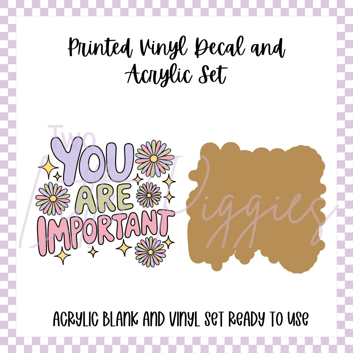 Printed Vinyl and Acrylic Set - You are Important