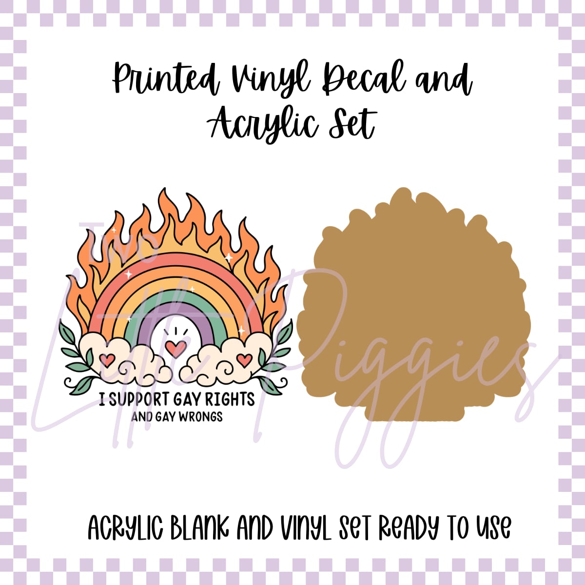 Printed Vinyl and Acrylic Set - Gay Rights and Gay Wrongs