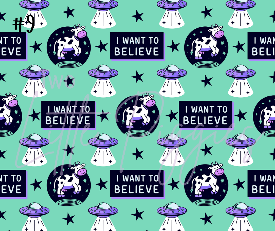 Printed Vinyl- I Want to Believe