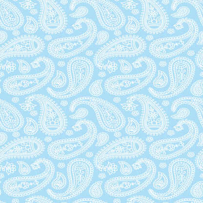 Printed Vinyl - Pastel Paisley