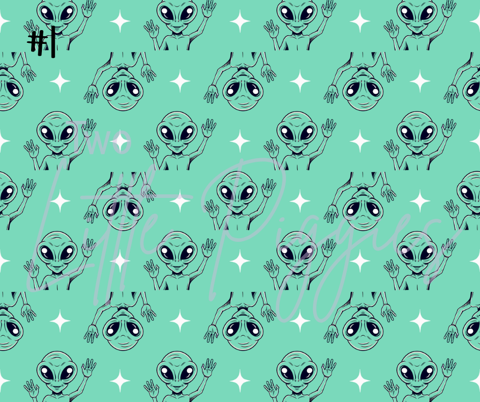 Printed Vinyl- I Want to Believe
