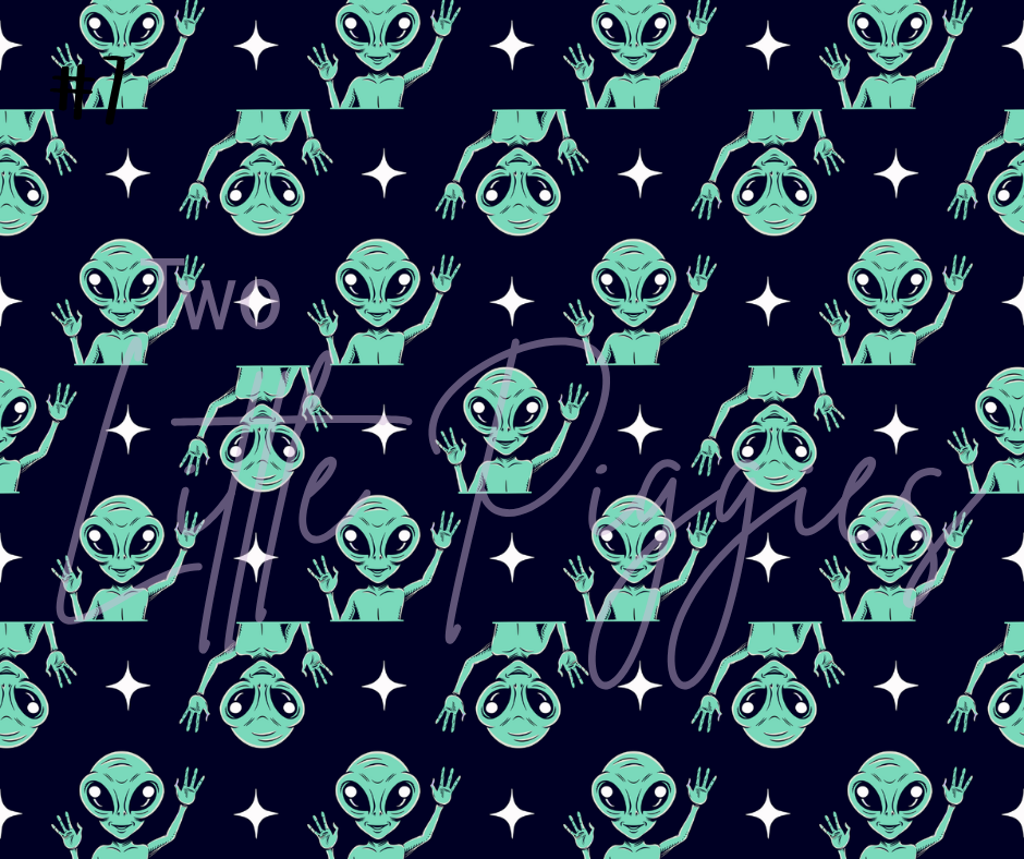 Printed Vinyl- I Want to Believe