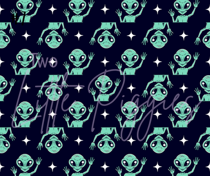 Printed Vinyl- I Want to Believe